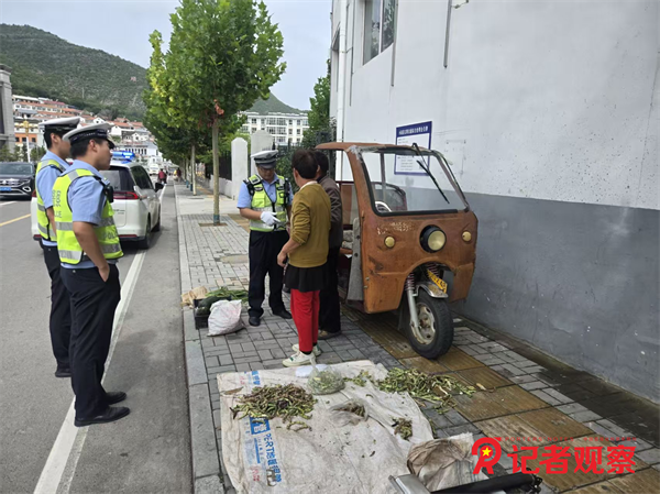 图片13