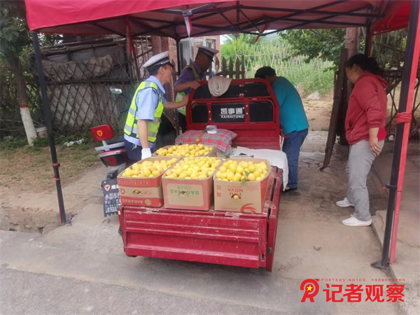 图片14