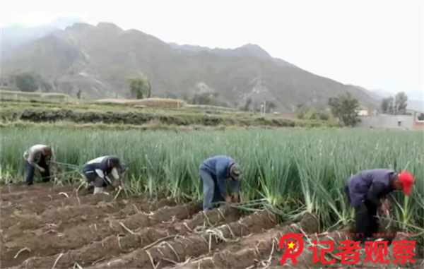 微信图片_20250929195256 微信图片_20250929195256