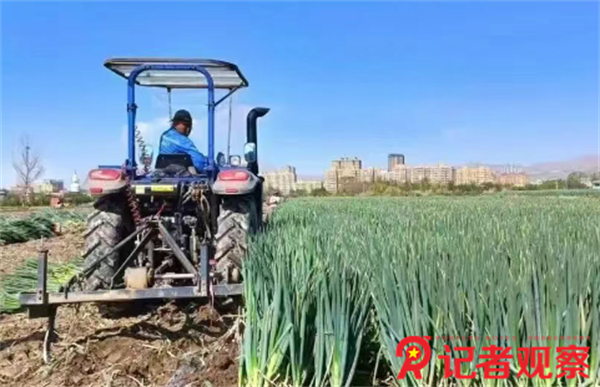 微信图片_20250929195259 微信图片_20250929195259