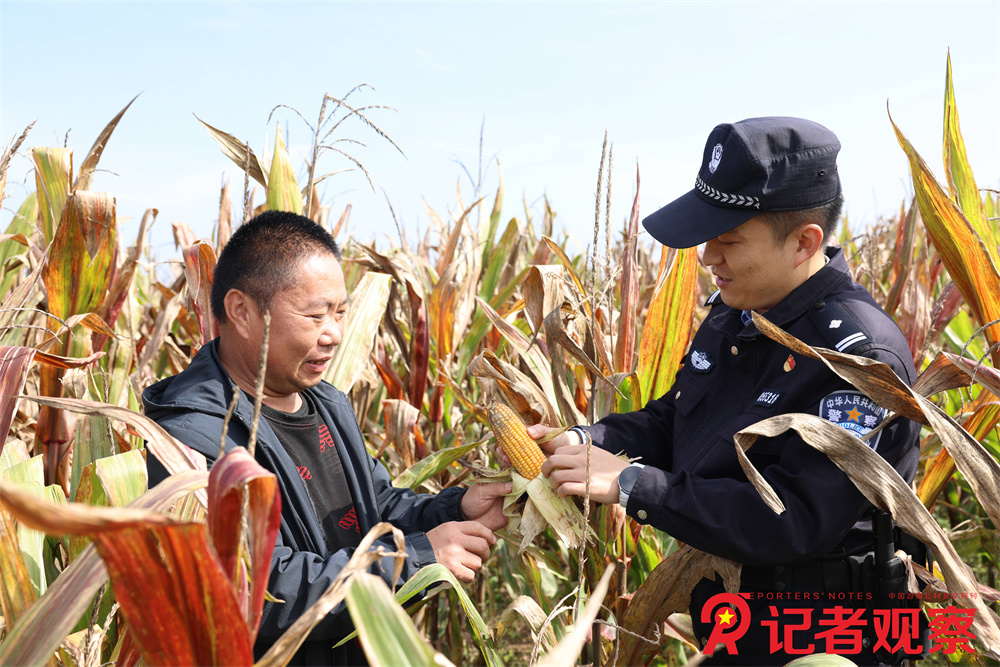 微信图片_20251015090256_234_541