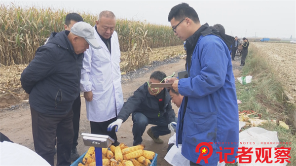 ec255fdd-f39b-4cbe-be33-c6991fd12692 ec255fdd-f39b-4cbe-be33-c6991fd12692