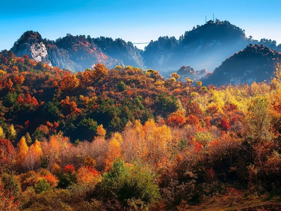 微信图片_20251106092444 微信图片_20251106092444