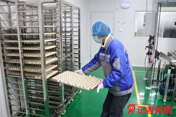 2b0871651421f38d6e9866feebf65b4b