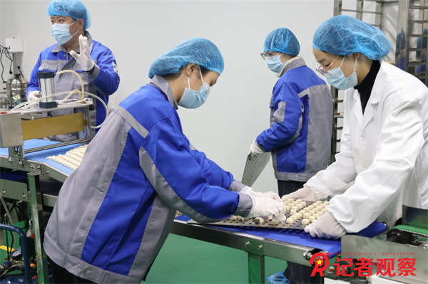 08d1794eef11e5e81ad3a2e3c408363b