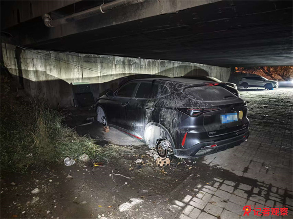 微信图片_20251107094455_876_99