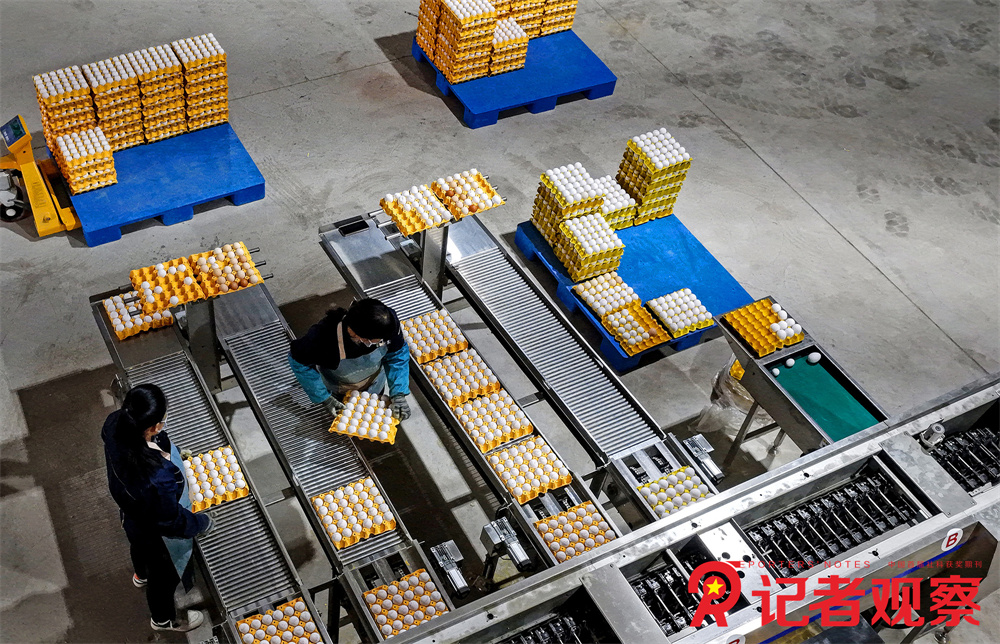 微信图片_20251114222206_15_1