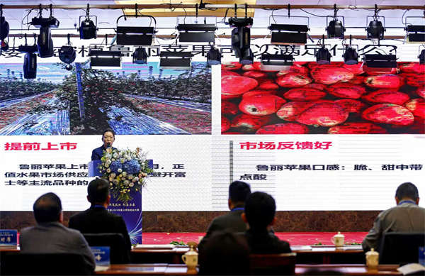 7e599eb31dee5e92f7c03d8dfcd69d6f