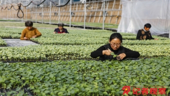 一图看懂秋冬季新冠肺炎疫情防控技术方案--中小学校篇