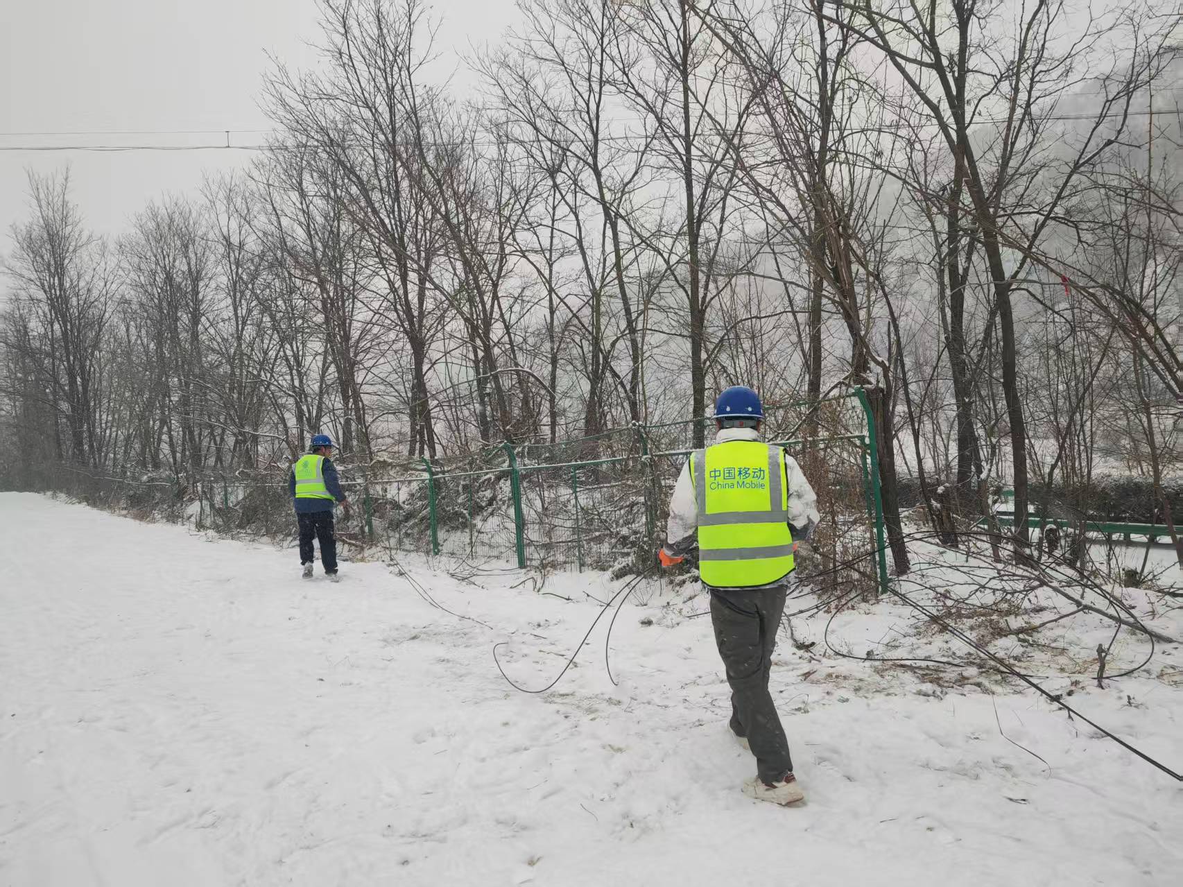 微信图片_20260105160647