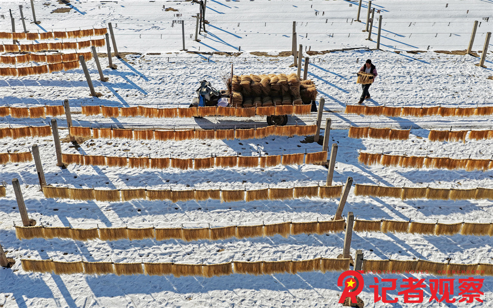 微信图片_20260106142658_109_52 微信图片_20260106142658_109_52