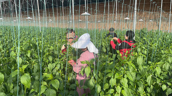 mmexport1768788827049