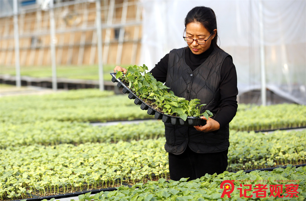 微信图片_20260128153546_356_478