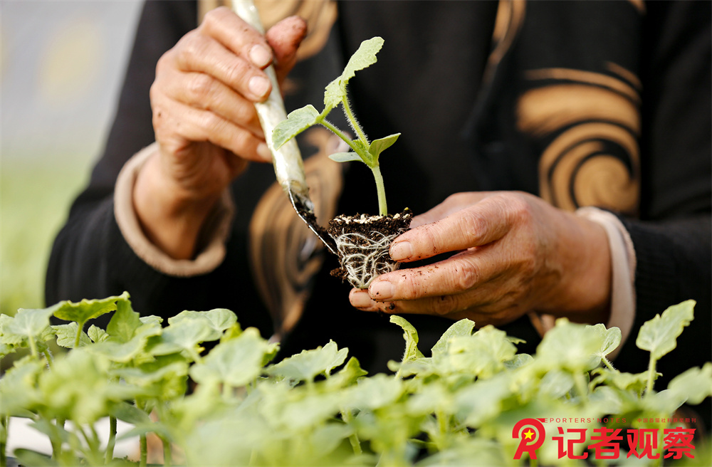 微信图片_20260128153545_355_478