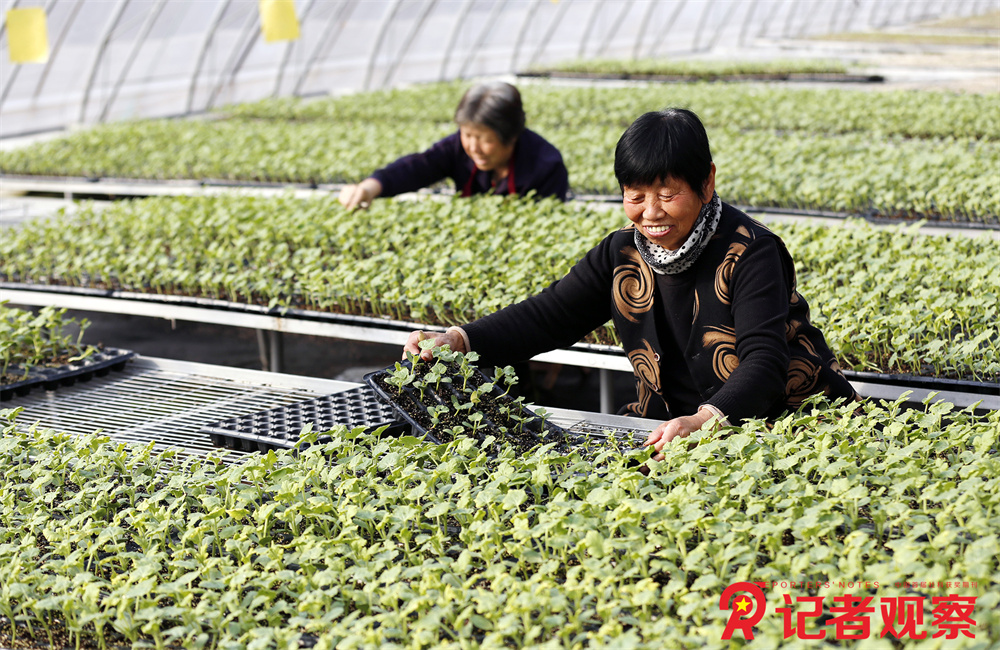 微信图片_20260128153544_354_478