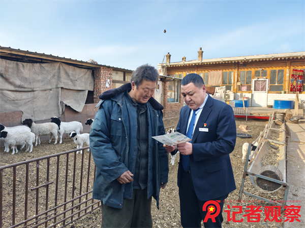 微信图片_20260206175501 微信图片_20260206175501