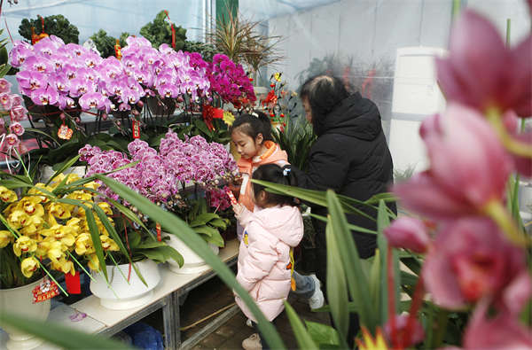 微信图片_20260211160215_16_1