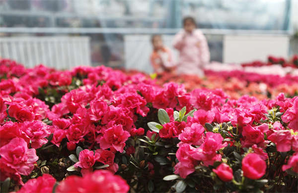 微信图片_20260211160216_18_1