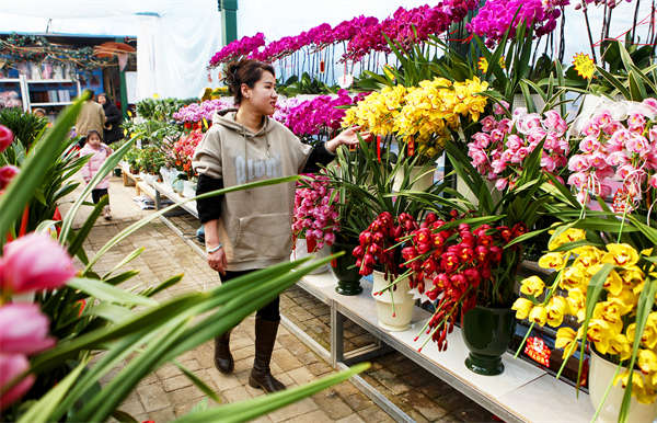 微信图片_20260211160216_19_1