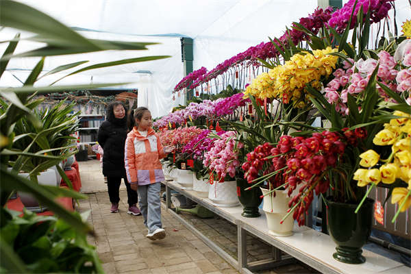 微信图片_20260211160217_20_1