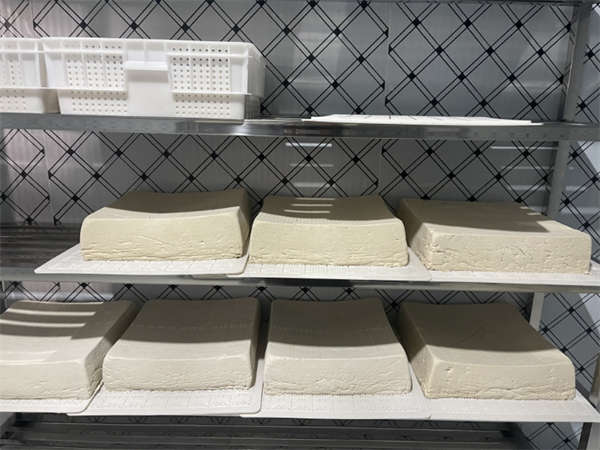 mmexport1771908441566