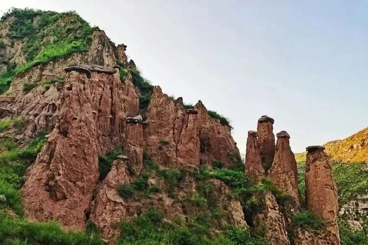 微信图片_20260225163053