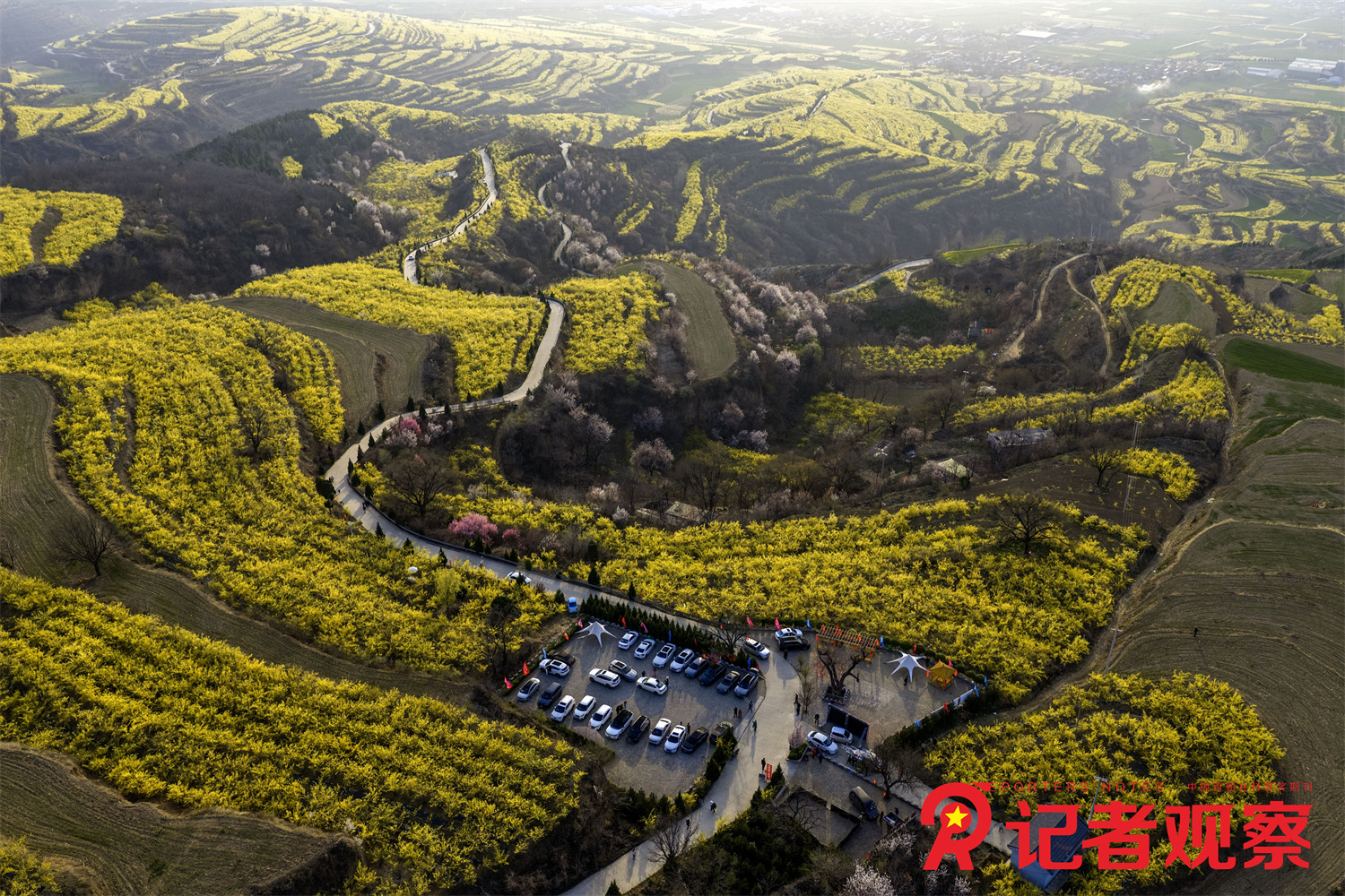 微信图片_20260329190642_5_1661