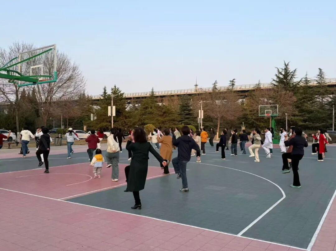 图片5 图片5