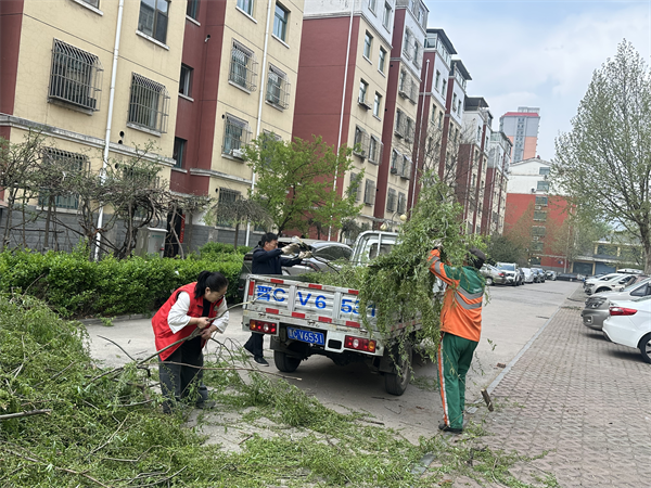 图片20