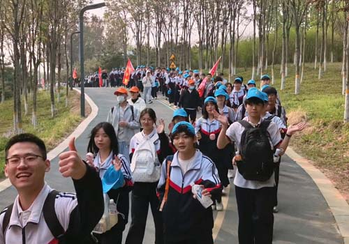 图片4