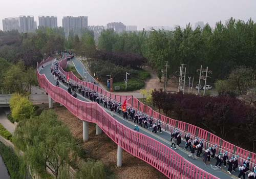 图片6
