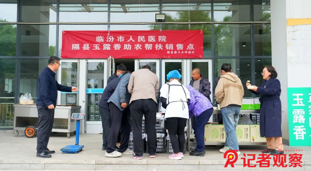 图片8