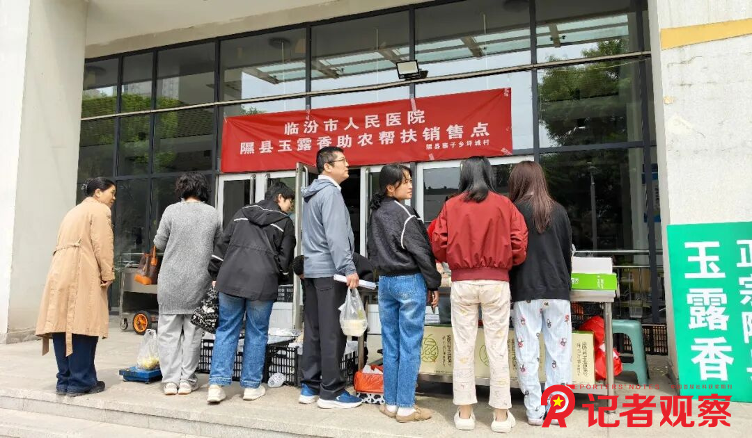 图片11