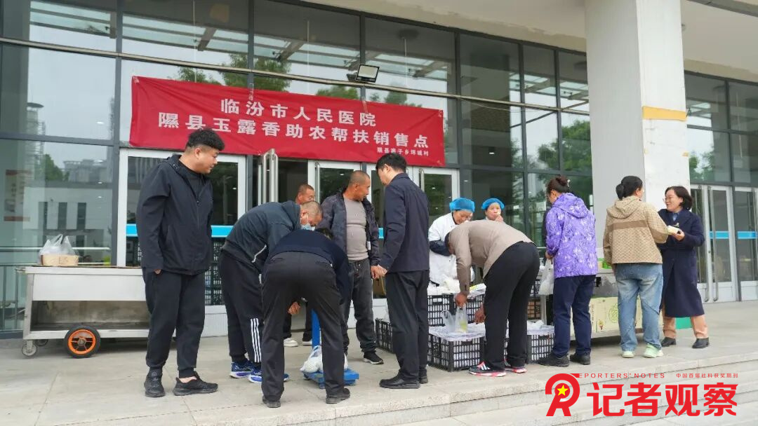 图片12