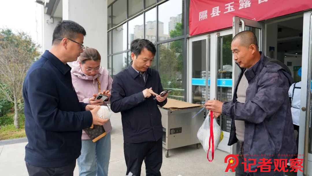 图片14