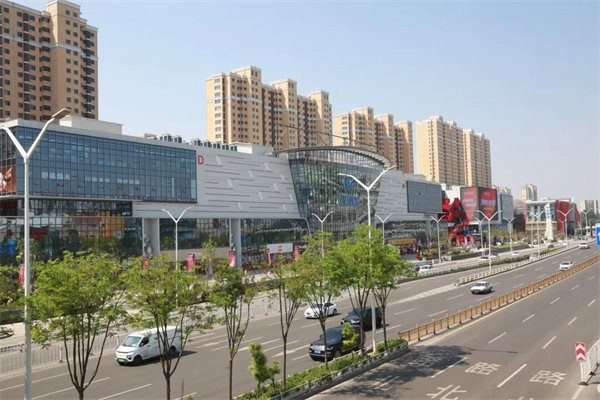 图片6