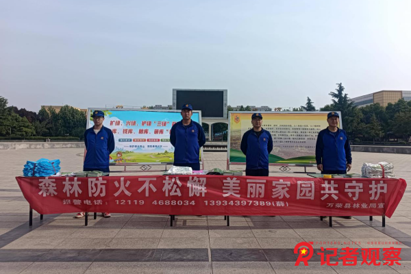 图片1 图片1