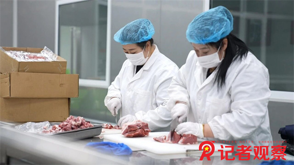 微信图片_2026-05-18_081302_506 微信图片_2026-05-18_081302_506