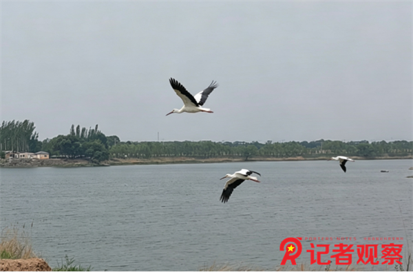 微信图片_20260519143239_27_2 微信图片_20260519143239_27_2
