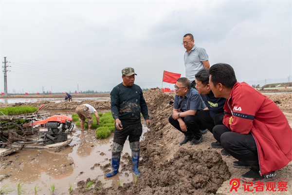 图片 3 图片 3