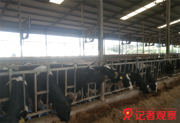 微信图片_20260521110824_81_4 微信图片_20260521110824_81_4