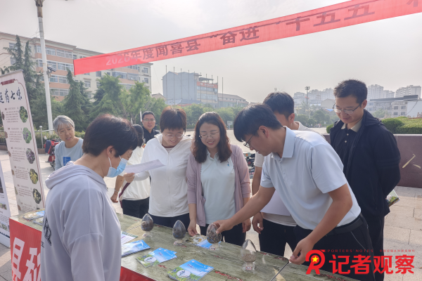 图片3 图片3