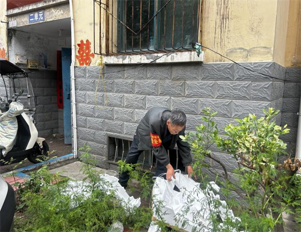 图片10