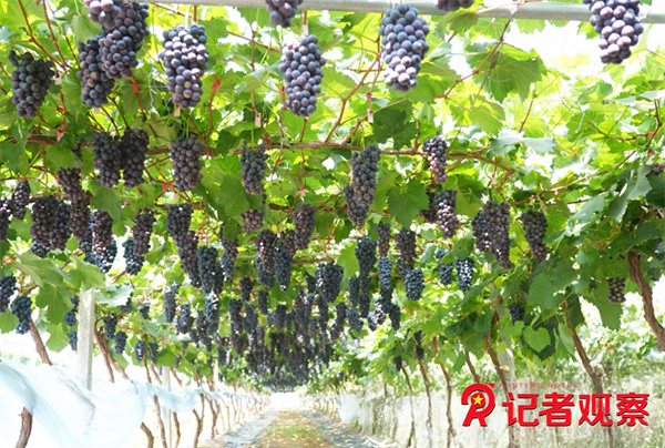 微信图片_20260706091131_5_4 微信图片_20260706091131_5_4