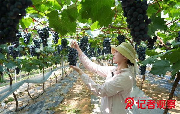 微信图片_20260706091131_7_4 微信图片_20260706091131_7_4