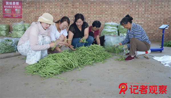 微信图片_20260706091131_9_4 微信图片_20260706091131_9_4