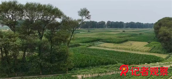 微信图片_20260714081515_13_5 微信图片_20260714081515_13_5