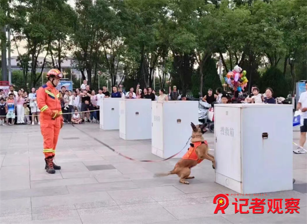 微信图片_20260717075303_36_2 微信图片_20260717075303_36_2