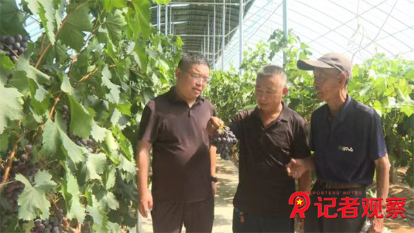 微信图片_20260805141657_7_4 微信图片_20260805141657_7_4