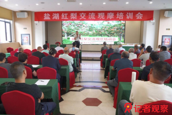 图片1 图片1
